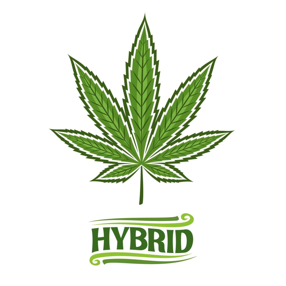 Hybrid