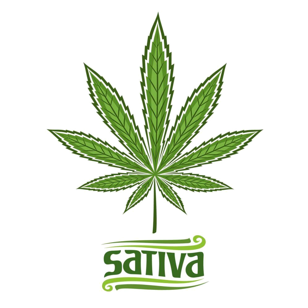 Sativa